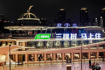 地標(biāo)廣告聯(lián)動(dòng)游輪廣告，三棵樹品牌驚爆上海外灘!