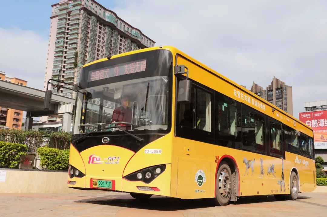 “導(dǎo)盲犬主題巴士”廣州公交廣告9路線發(fā)車了！
