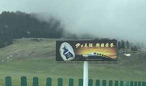 新疆高速立柱大牌廣告案例，烏魯木齊高速?gòu)V告酒類(lèi)廣告案例