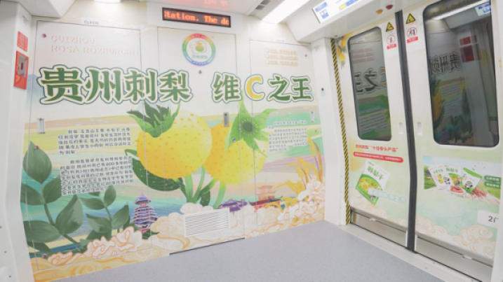 貴陽地鐵廣告特產(chǎn)案例圖，貴陽地鐵廣告內(nèi)包車廣告價格多少錢？
