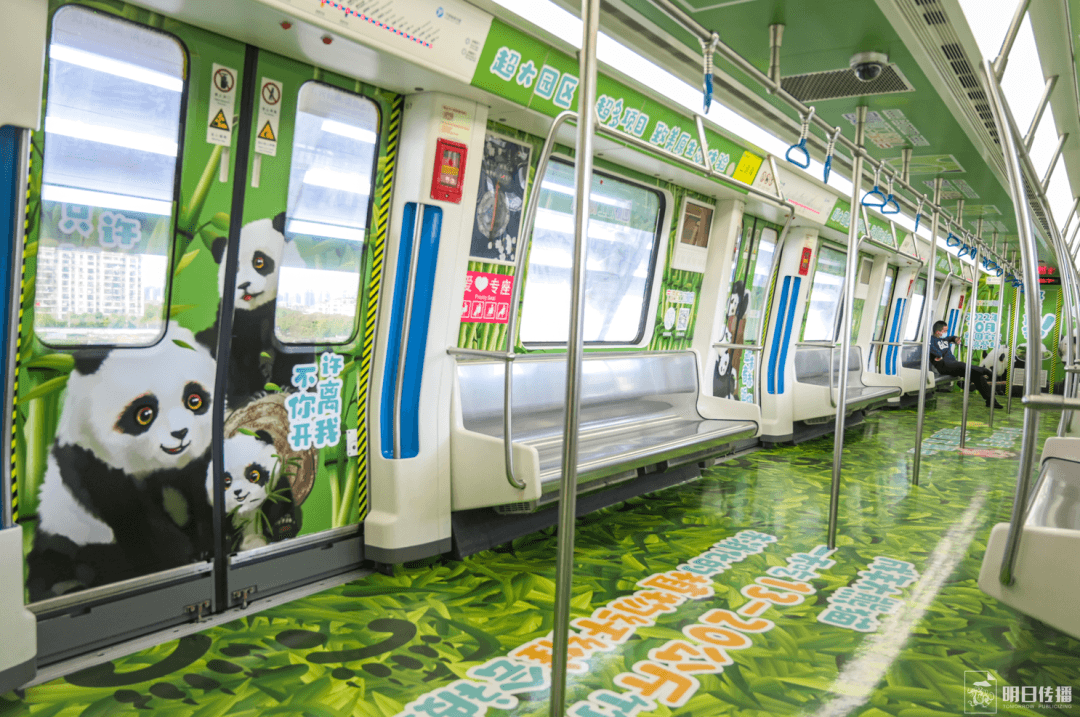 寧波地鐵車廂廣告價格多少錢？寧波地鐵廣告經(jīng)典全包車案例動物園