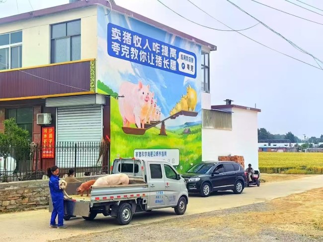如何結(jié)合方言和文化元素設(shè)計(jì)刷墻廣告？